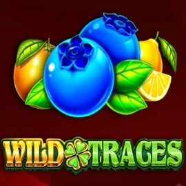 Wild Traces logo by Amusnet Interactive Casinacho Casino